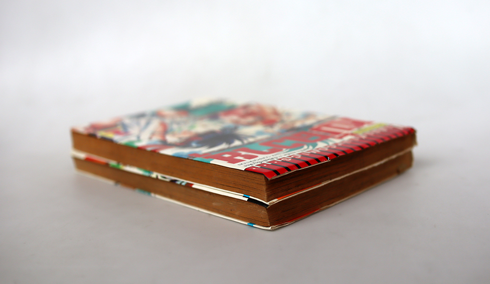 ยอดยุทธหมัดวายุ ( 2 เล่มจบ )