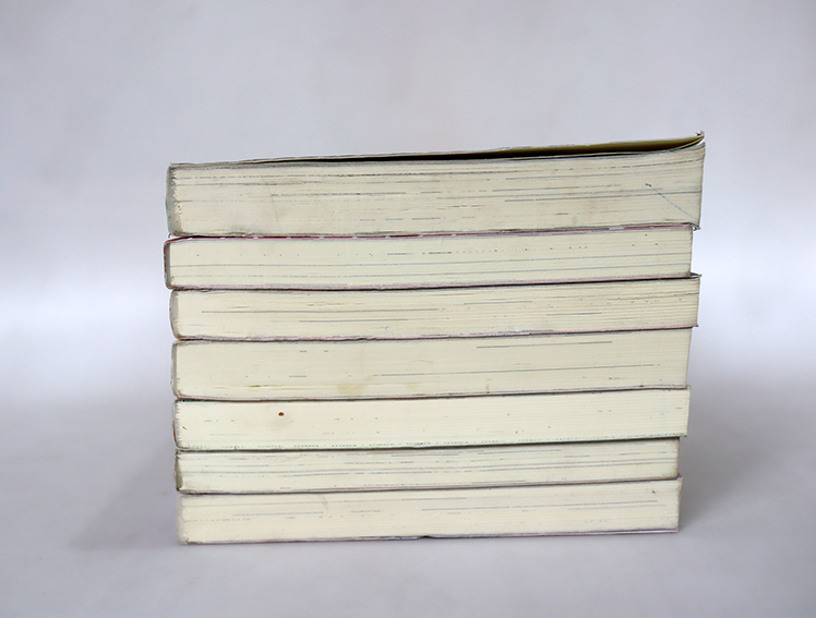 นิยายแจ่มใส เลิฟซีรี่ย์ - Mina