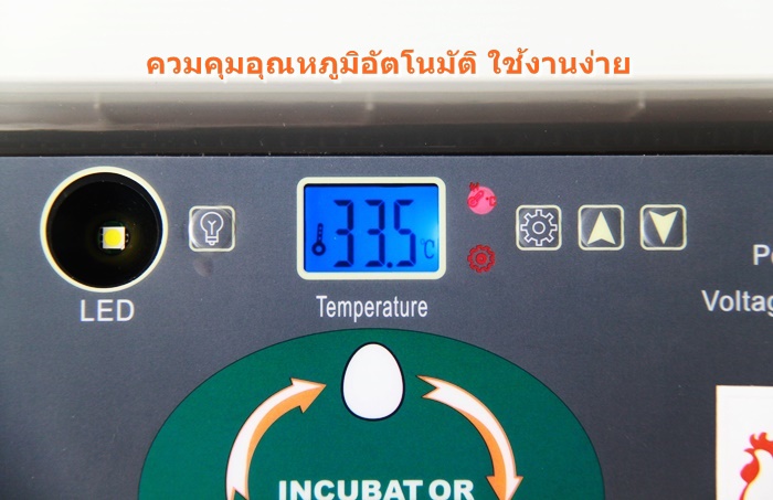 เครื่องฟักไข่อัตโนมัติ 12/35 ฟอง ตู้ฟักไข่ ตู้อบไข่ ฟักไข่ได้หลายขนาด ไข่ไก่ ไข่ห่าน ไข่นกกระทา