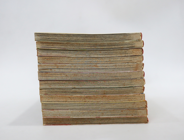 รักร้อนซ่อนกล ( 12 เล่มจบ )