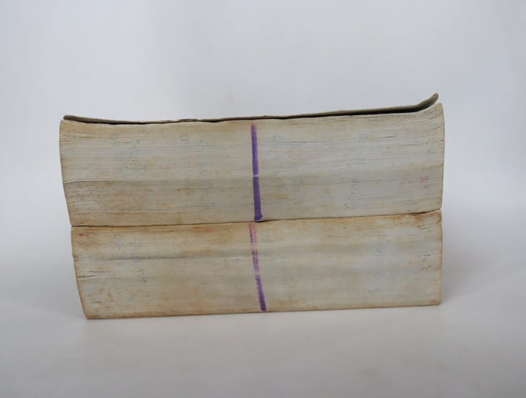 Nargus นากัส ( 2 เล่มจบ )