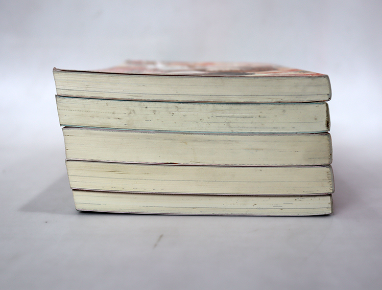 นิยายแจ่มใส เลิฟซีรี่ย์ - Hideko_Sunshine