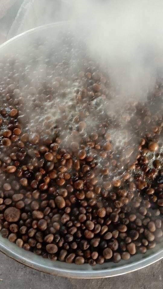 เห็ดเผาะ