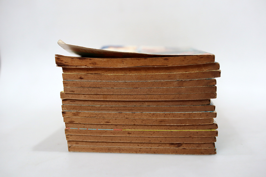 หลักโลหิต (15 เล่มจบ)