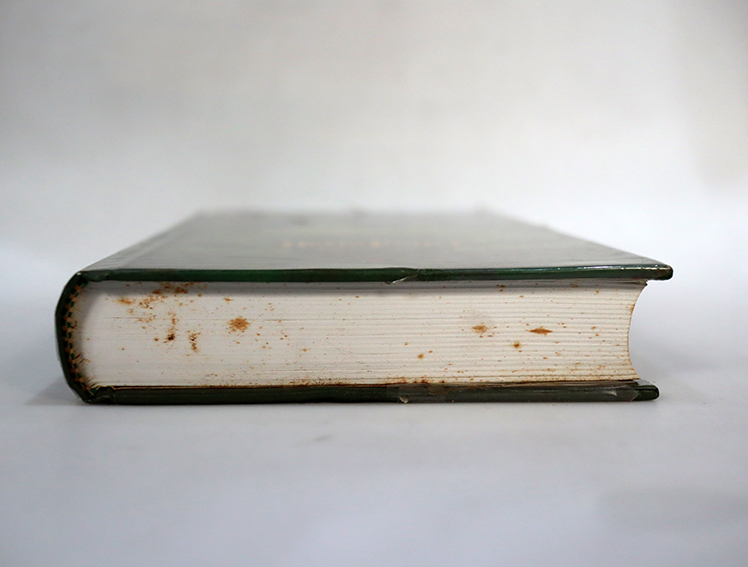 แฮร์รี่พอตเตอร์ กับเจ้าชายเลือดผสม (ปกแข็ง เล่ม 6 )