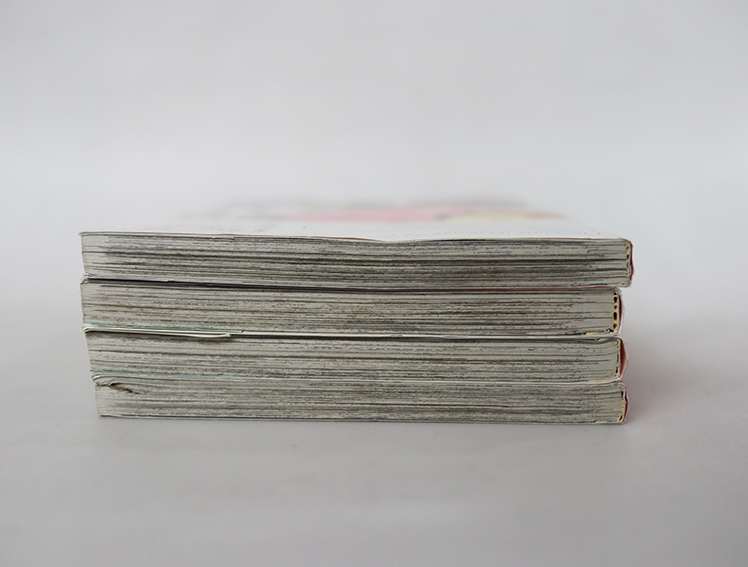 ไขปริศนาคลับไฮโซ ( 4 เล่มจบ )