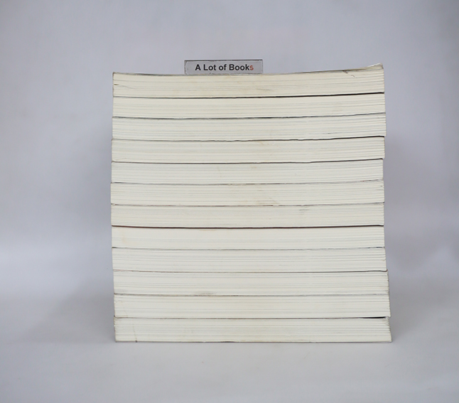 ย้อนเวลาขึ้นเป็นอ๋อง ภาค 2 ( 12 เล่มจบ )