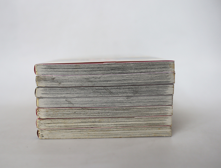 Midnight secretary มิดไนท์ เซคริเทอรี่ ( 7 เล่มจบ )