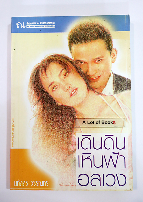 เดินดิน เหินฟ้า อลเวง