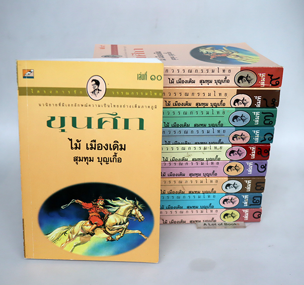 ขุนศึก ( 10 เล่มจบ )
