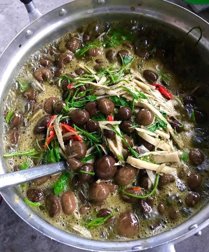 เห็ดเผาะ