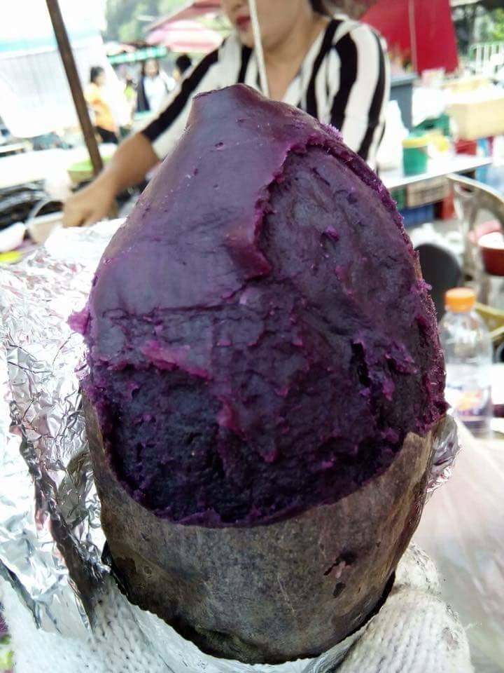 มันม่วงญี่ปุ่น