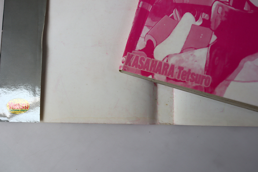 RideBack ไรด์แบ็ค ( 10 เล่มจบ )