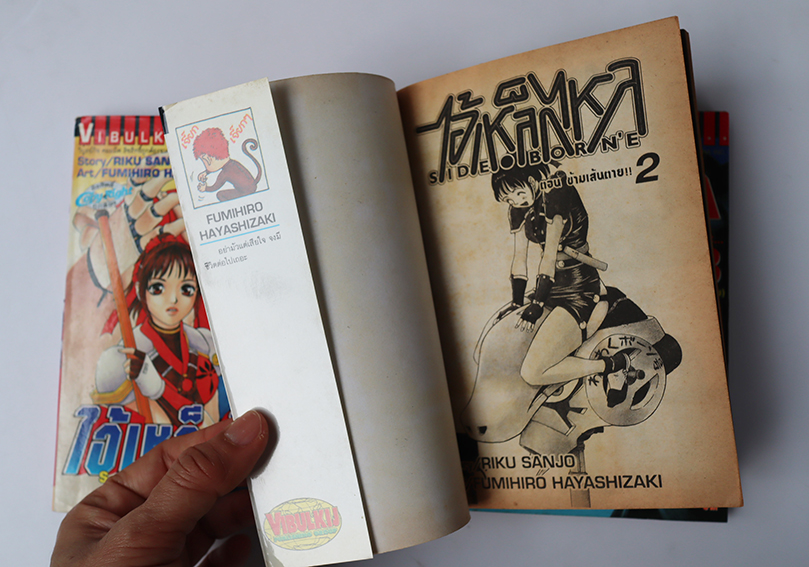 ไอ้เหล็กไหล ( 3 เล่มจบ )