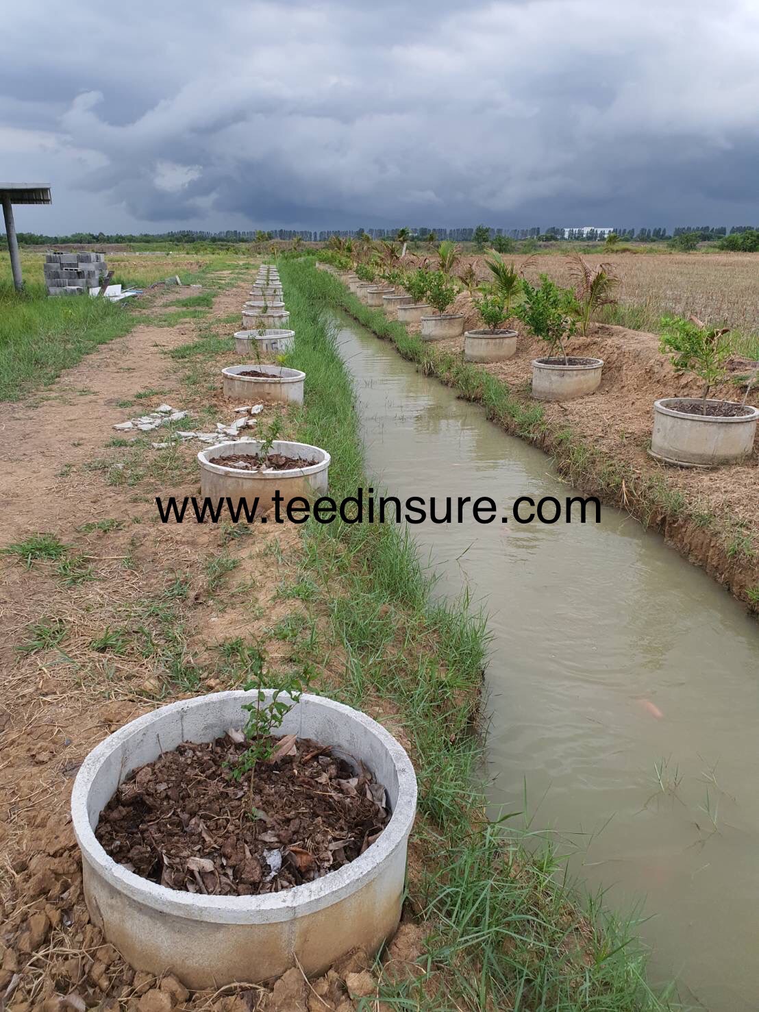 ขายบ้านสวนพร้อมที่ดิน พื้นที่ทั้งหมด 4 ไร่ ต.บ้านแป้ง อ.บางปะอิน จ.พระนครศรีอยุธยา