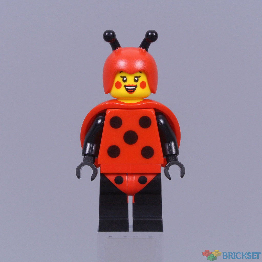 LEGO เลโก้ 71029 Collectible Minifigures Series 21 (ครบชุด 12 ตัว)