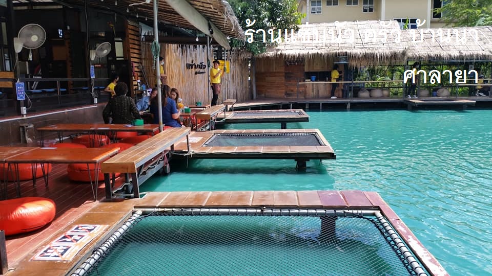 Hammock เปลตาข่ายนั่งเล่น ตาข่ายเช็คอินคาเฟ่ ตาข่ายกันตก