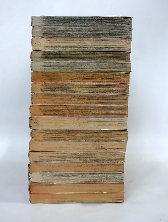 สาวน้อยต่อยหนัก ( 17 เล่มจบ )