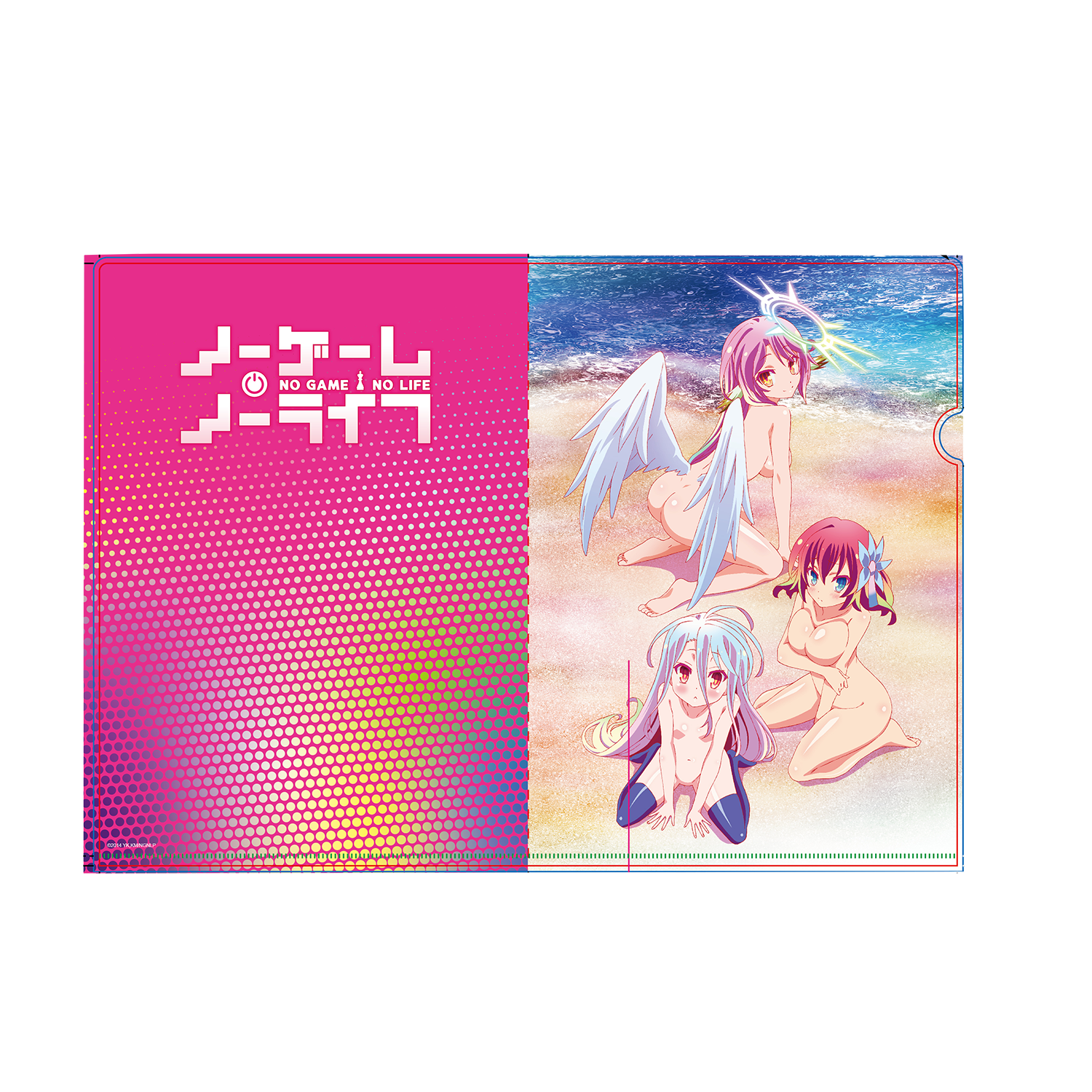 [ A4 Folder ] No Game No Life