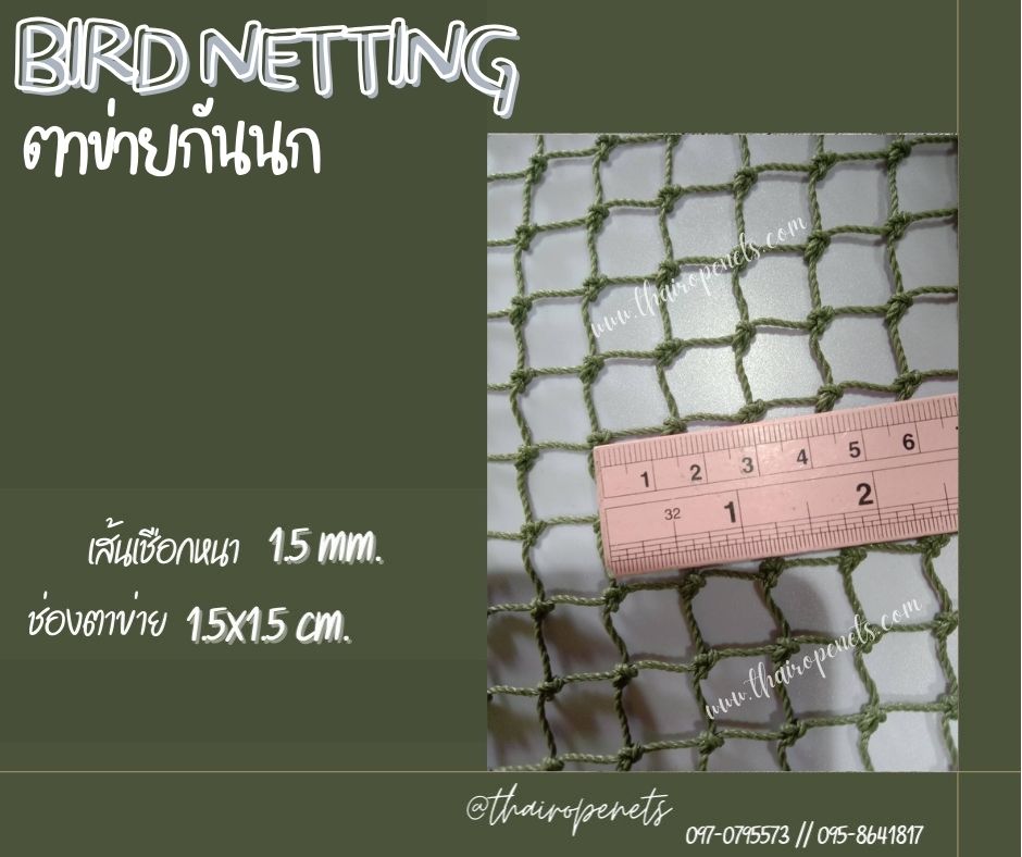 ตาข่ายกันสัตว์ กั้นนก bird netting ความสูง 2 เมตร รุ่นหนา 1.5 มิล ช่องตา 1.5x1.5 cm. สีเขียวขี้ม้า กดเลือกความยาวตามต้องการได้เลยค่ะ