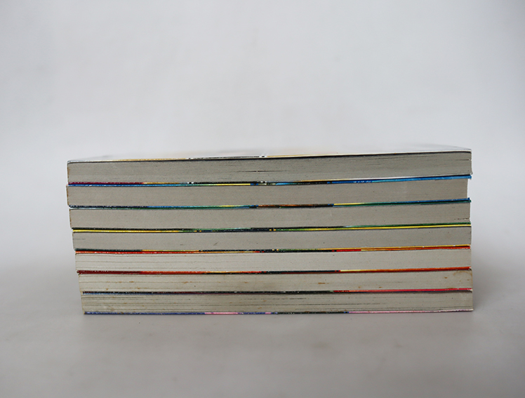 Midnight secretary มิดไนท์ เซคริเทอรี่ ( 7 เล่มจบ )