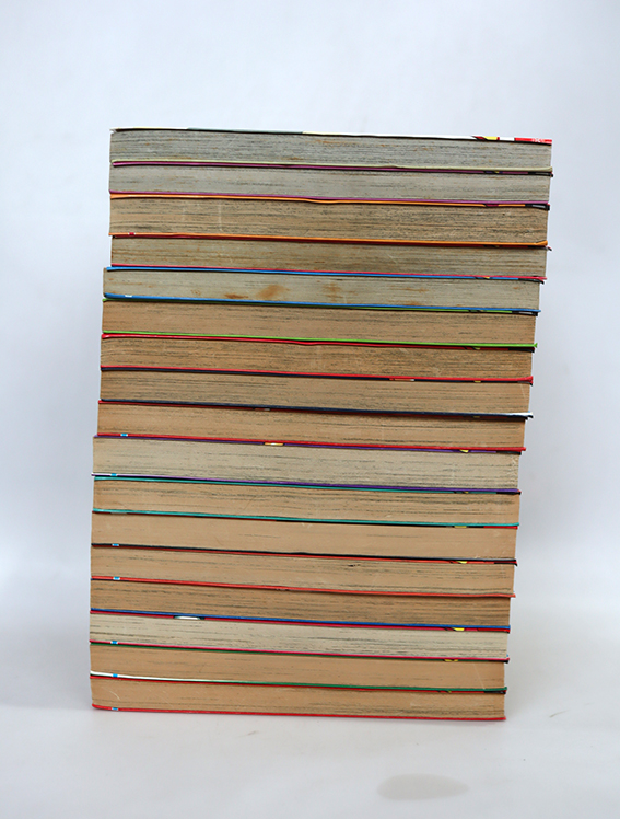 สาวน้อยต่อยหนัก ( 17 เล่มจบ )