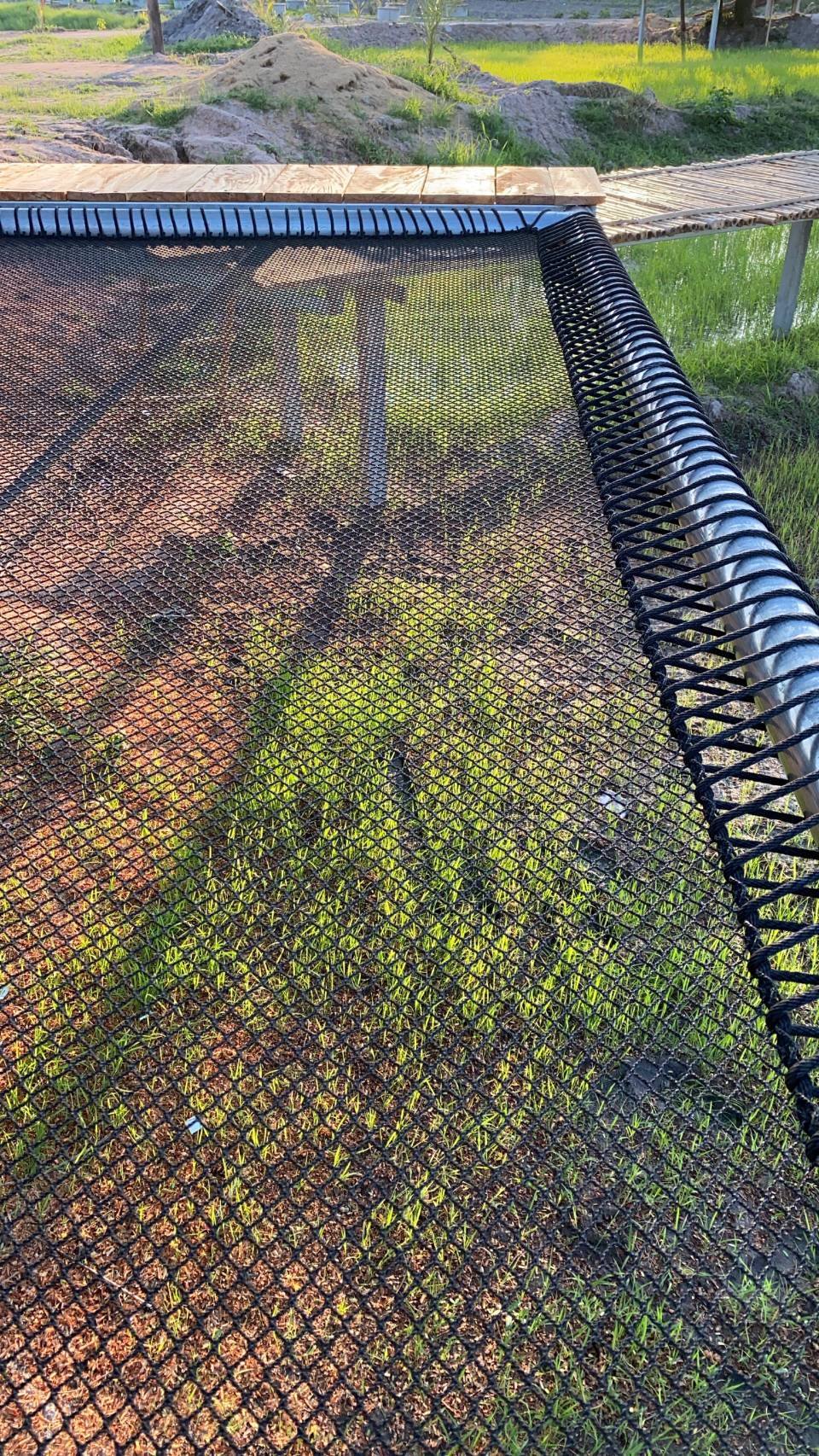 ตาข่ายริมน้ำ เปลตาข่ายร้านอาหาร 🔸รุ่นหนา 2 ชั้น 🔸 ขนาด 120 x 180 cm. + เชือกมัดติดตั้ง🔸