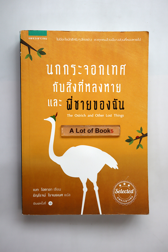 นกกระจอกเทศกับสิ่งที่หลงหายและพี่ชายของฉัน