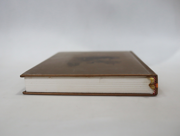 บารมีพระแม่ป้อง ปกพื้นธรณิน ( ปกแข็ง )