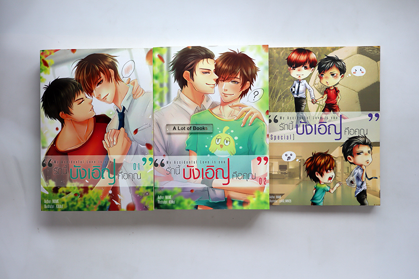 รักนี้บังเอิญคือคุณ (2 เล่มจบ +เล่มพิเศษ )
