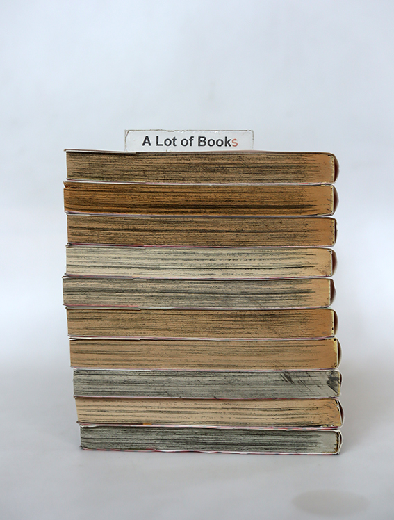 ใต้ปักเทพธิดา ( 10 เล่มจบ)