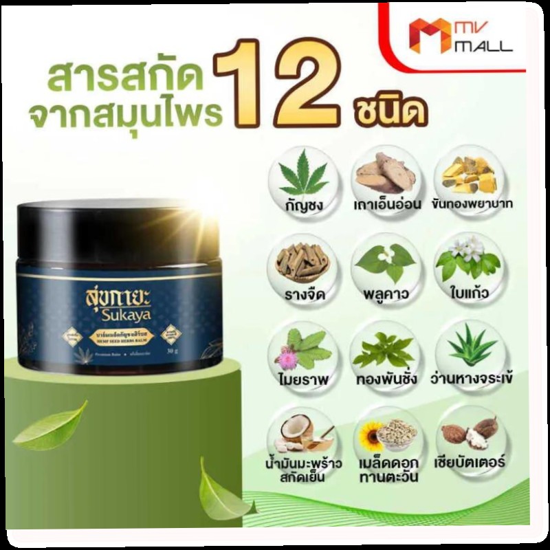 บาล์มสุขกายะ บาล์มเมล็ดกัญชงเฮิร์บส Hemp Seed Herbs Balm สูตรตำรับโบราณ : Healthy Hut