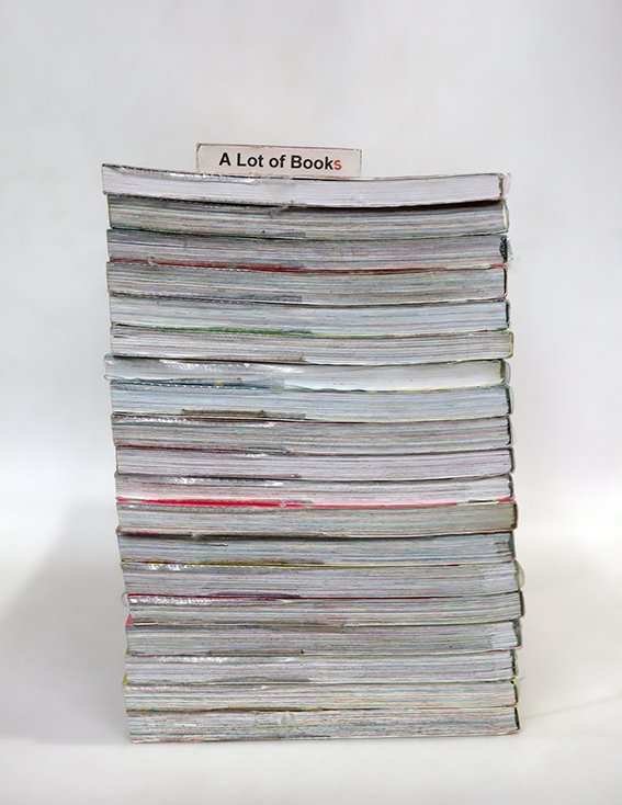 การ์ตูนความรู้ชุด สาวน้อยคนเก่ง