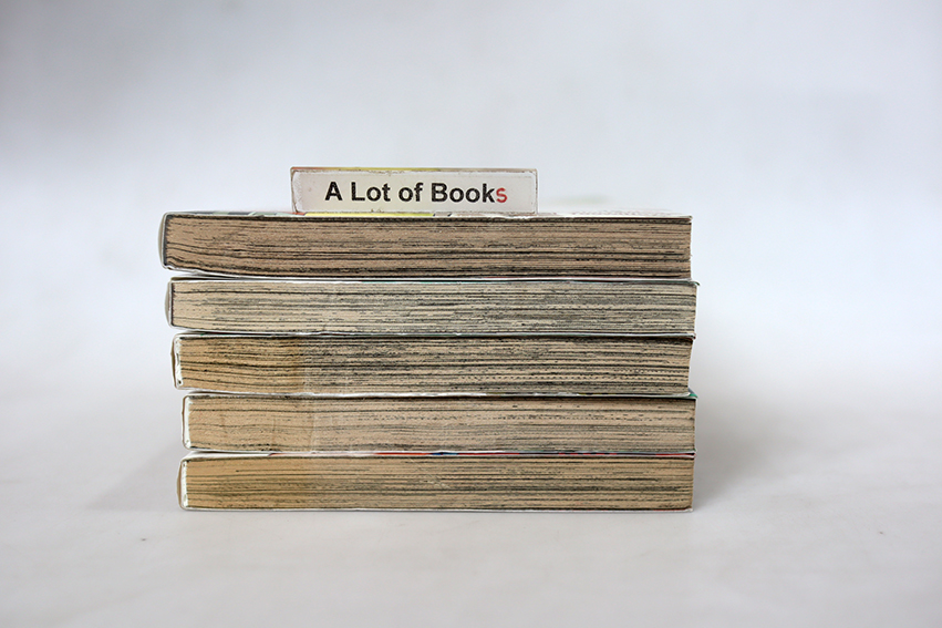 Chrome 49 โครม 49 สาวพันธุ์ตูบ ( 5 เล่มจบ )