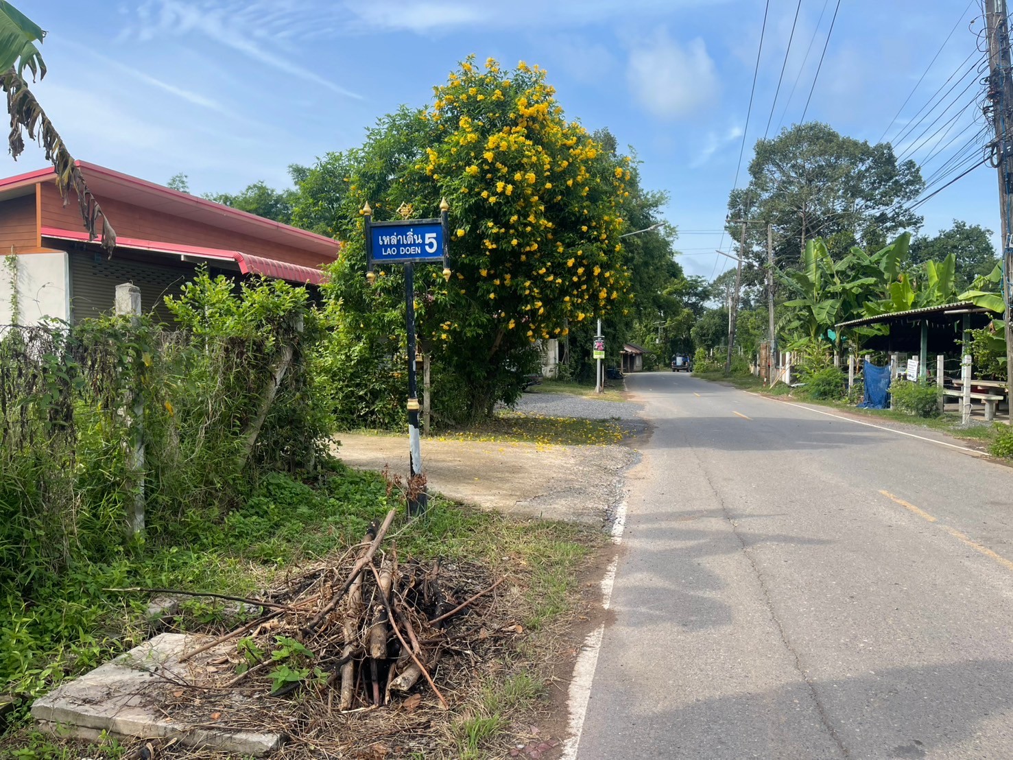 ขายธุรกิจห้องเช่า!!! 5ห้อง 140 ตารางวา มี 5ห้อง แอร์ เต็มหมด เก็บค่าเช่าต่อได้เลย บ้านเหล่าเดิ่น ปากพลีนครนายก