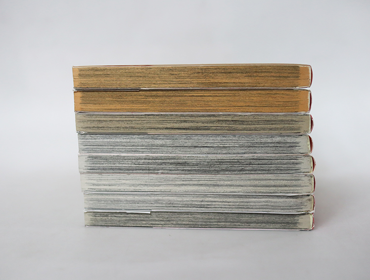 ปริศนาโรงเรียนไฮโซ ( 8 เล่มจบ )