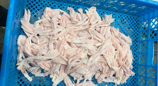 เครื่องเลาะตีนไก่ เครื่องเลาะกระดูกตีนไก่เชิงพาณิชย์ เครื่องเลาะกระดูกไก่ ตีนเป็ด เครื่องเลาะกระดูกตีนไก่แบบเปิด