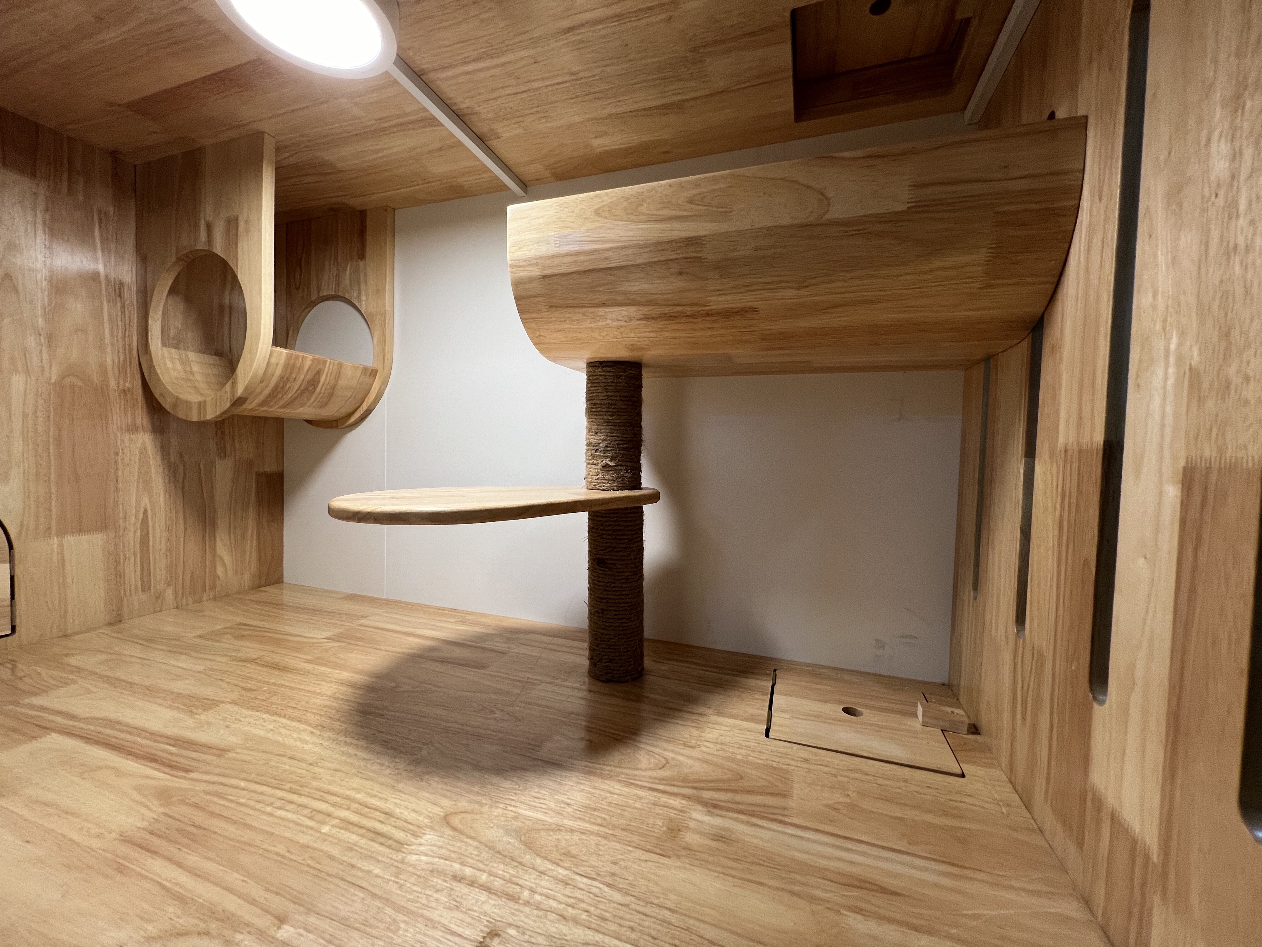 Standard room สำหรับแมว 1 ตัว