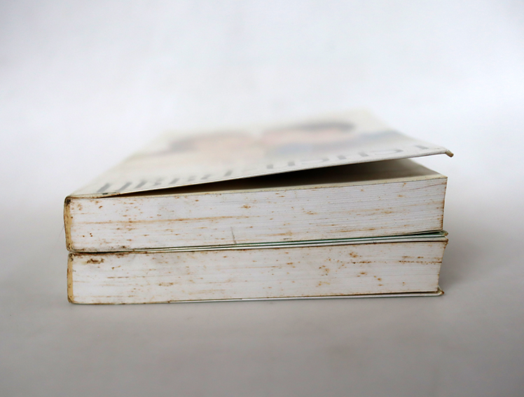 ภูชิชย์ นริศรา ( 2 เล่มจบ )