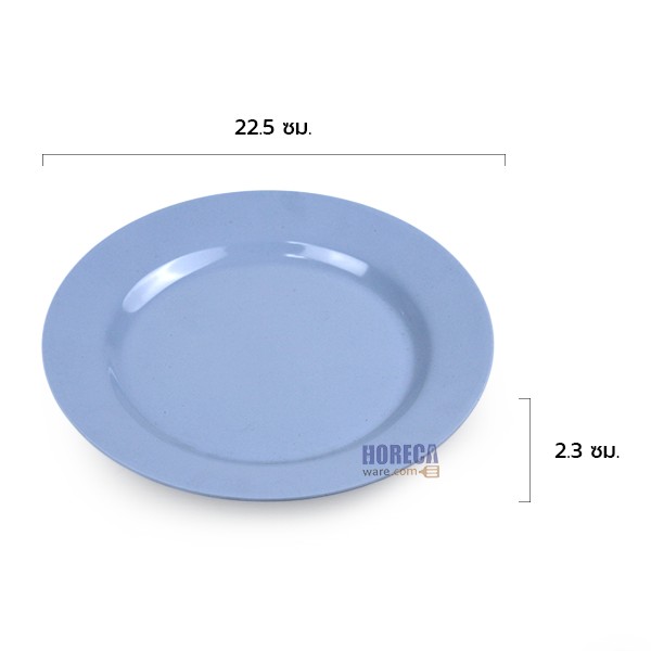 จานกลมตื้น [สีฟ้า] 9 นิ้ว ปลายิ้ม