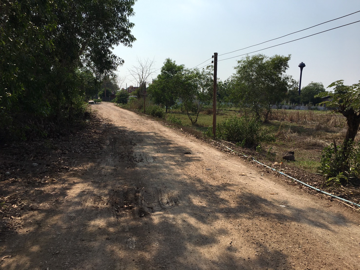 ขายที่ดินคลอง4 เนื้อที่ 10ไร่ ข้างวัดตะวันเรือง ต.คลองสี่ อ.คลองหลวง จ.ปทุมธานี