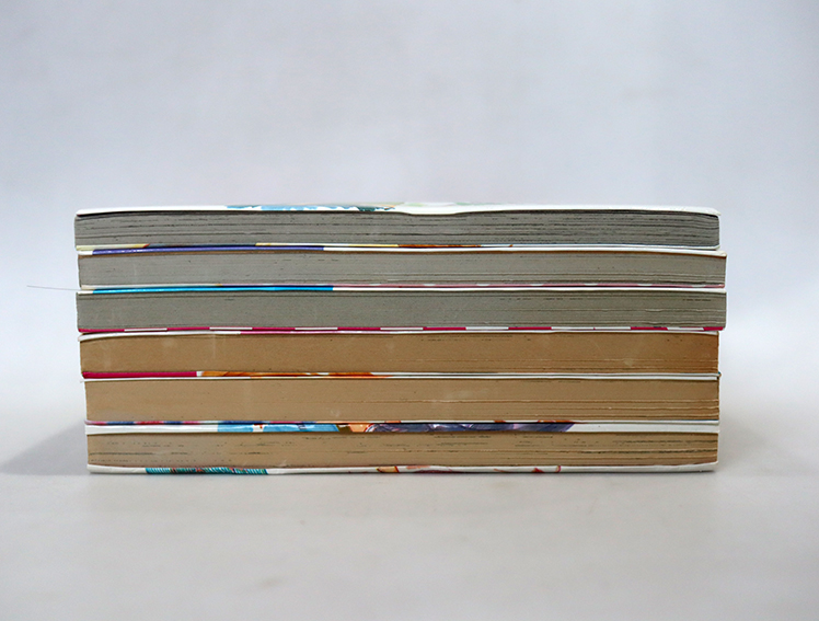 สึโบมิจัง ลืมอะไรรึเปล่าจ๊ะ ( 6 เล่มจบ )