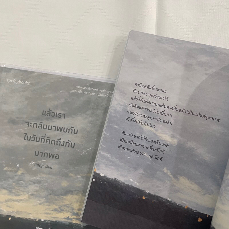 แล้วเราจะกลับมาพบกันในวันที่คิดถึงมากพอ /ผู้เขียน: อิสญะ /สำนักพิมพ์: Springbooks (สปริงบุ๊กส์)