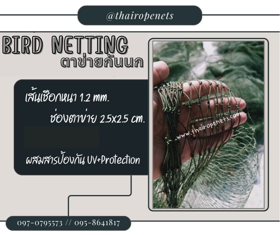 ตาข่ายล้อมรั้วกันนกพิราบ bird netting ความสูง 5 เมตร รุ่นหนา 1.2 มิล ช่องตา 2.5x2.5 cm. สีเขียวขี้ม้า กดเลือกความยาวตามต้องการได้เลยค่ะ
