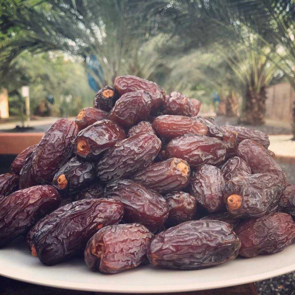 ราชาอินทผลัมMedjool เม็ดจูน