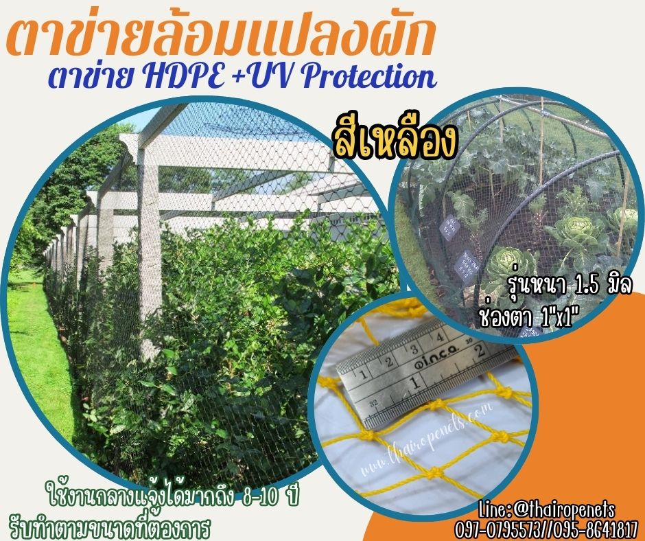 ตาข่ายแปลงผัก สีเหลือง ตาข่าย HDPE รุ่นหนา 1.5 มิล ช่องตา 1x1 นิ้ว เคลือบสารป้องกัน UV ทนแดด ทนฝน มีความหนาแน่นสูง ทนต่อแรงดึง