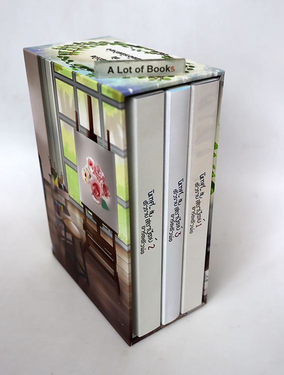 Boxset นิเทศตัวร้ายกับสถาปัตย์อาร์ตตัวพ่อ