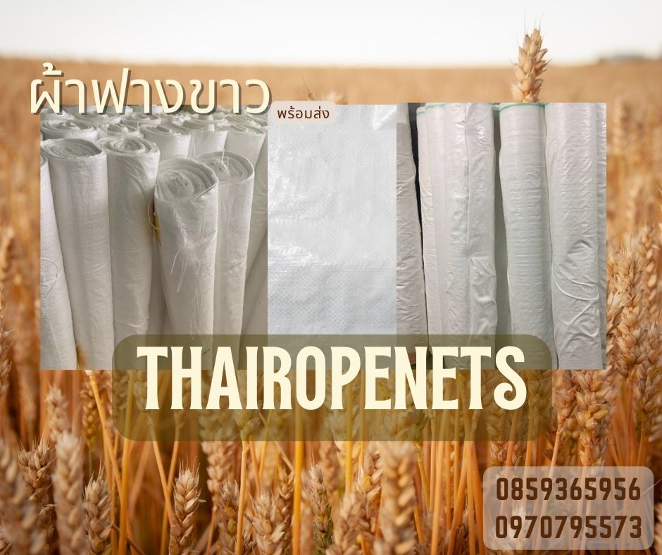 ผ้าฟางขาว ผ้าฟางขาวบริสุทธิ์ ผ้าใบคลุมเต็นท์สีขาว ผ้าใบปูพื้นสีขาว ผ้าใบปูบ่อปลา ผ้าใบกันแดนกันฝน ผ้าเต็นท์ ผ้าใบแพ็คของ ผ้าใบเชิงเกษตร ผ้าใบกันน้ำ