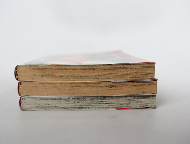 Najica Project นาจิกะ ปฏิบัติการสายฟ้าฟาด ( 3 เล่มจบ )