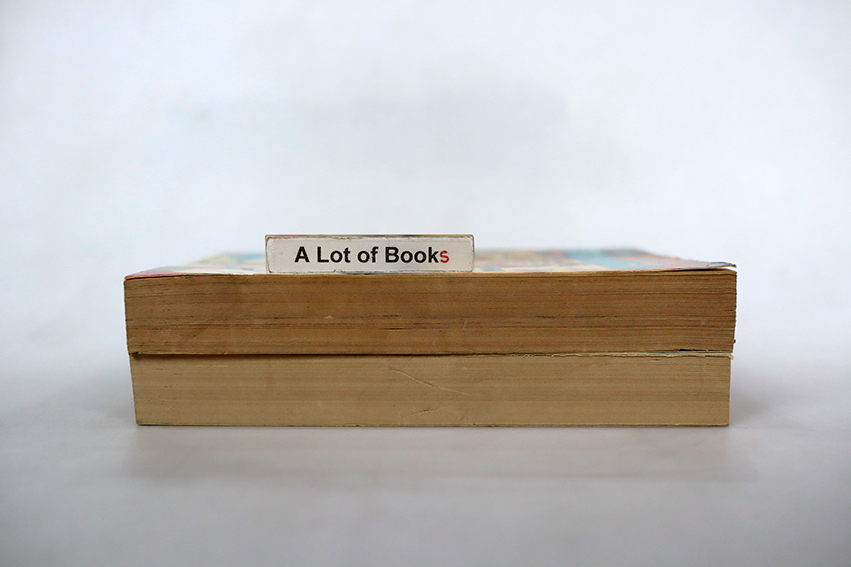 ผจญภัยแดนโหด ( 2 เล่มจบ )